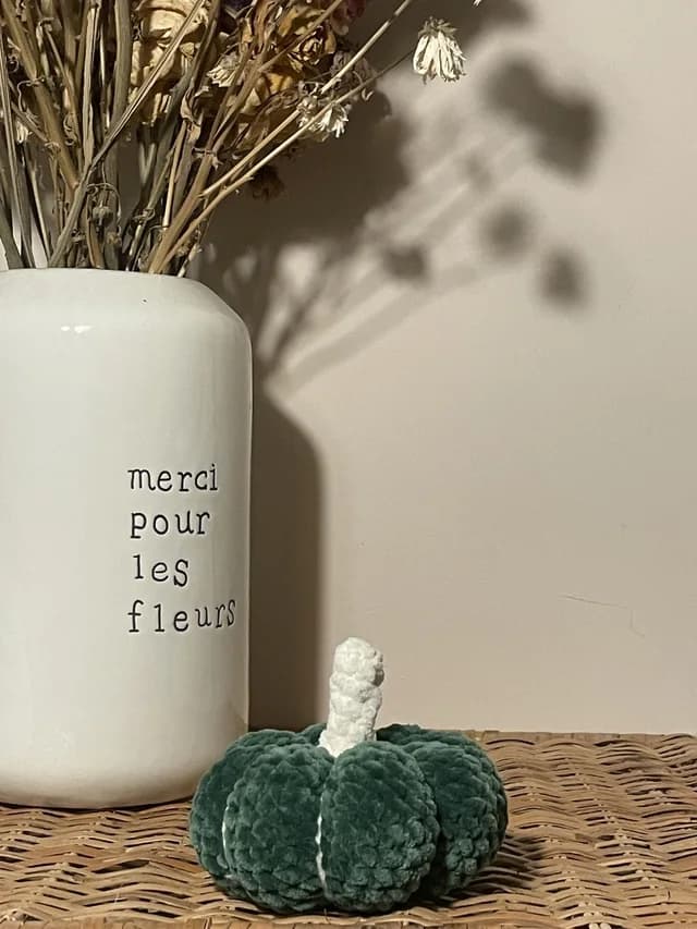 La courge – Pelochette – vue 2