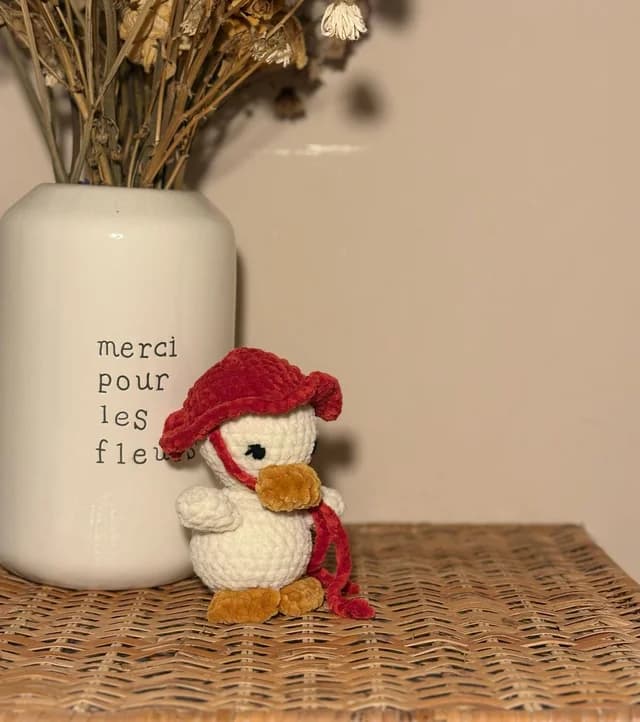 Le canard à chapeau – Pelochette