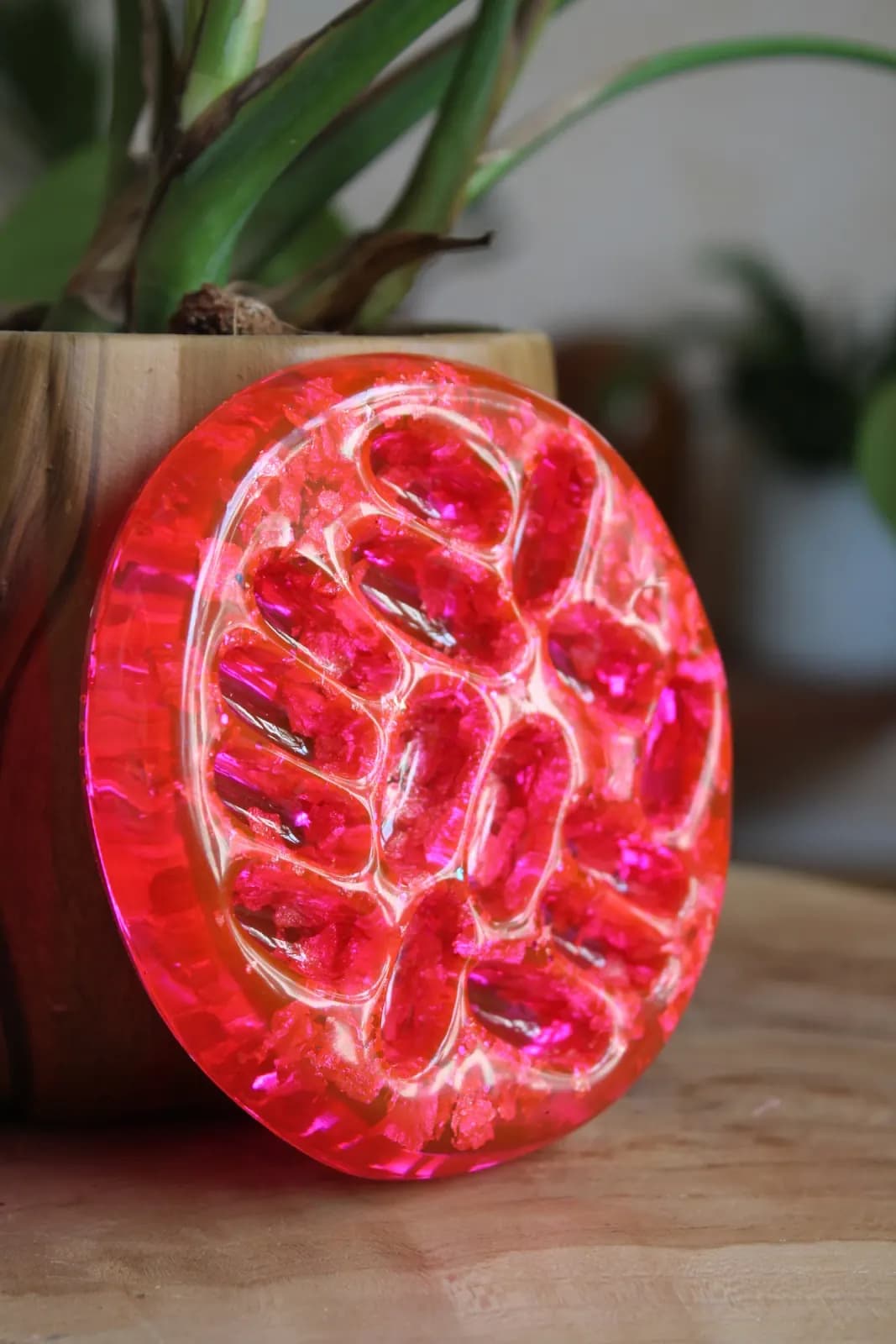 Coupelle à bijoux rose translucide sculptée en forme de graine de lotus, posée près d'une plante.