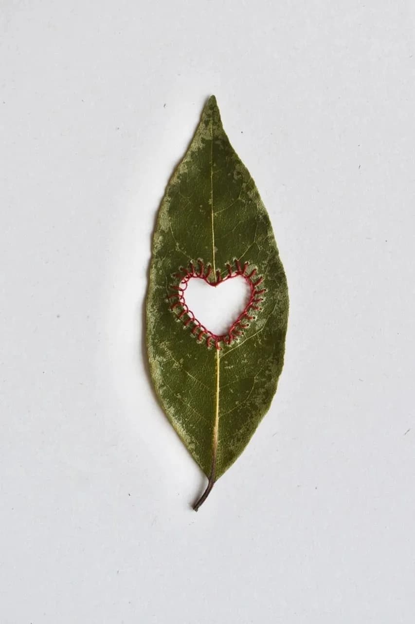 Broderie sur feuille d’arbre - Coeur