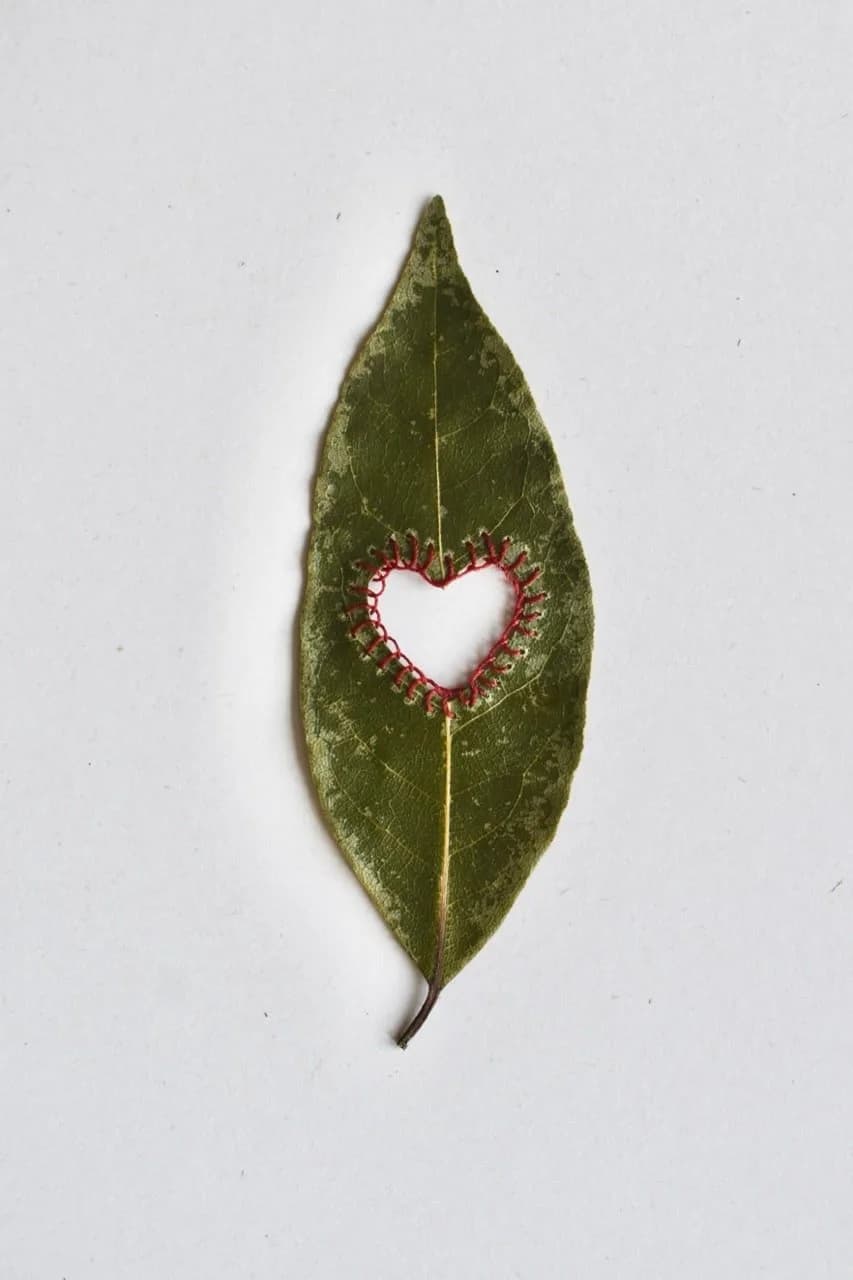 Broderie sur feuille d’arbre - Coeur