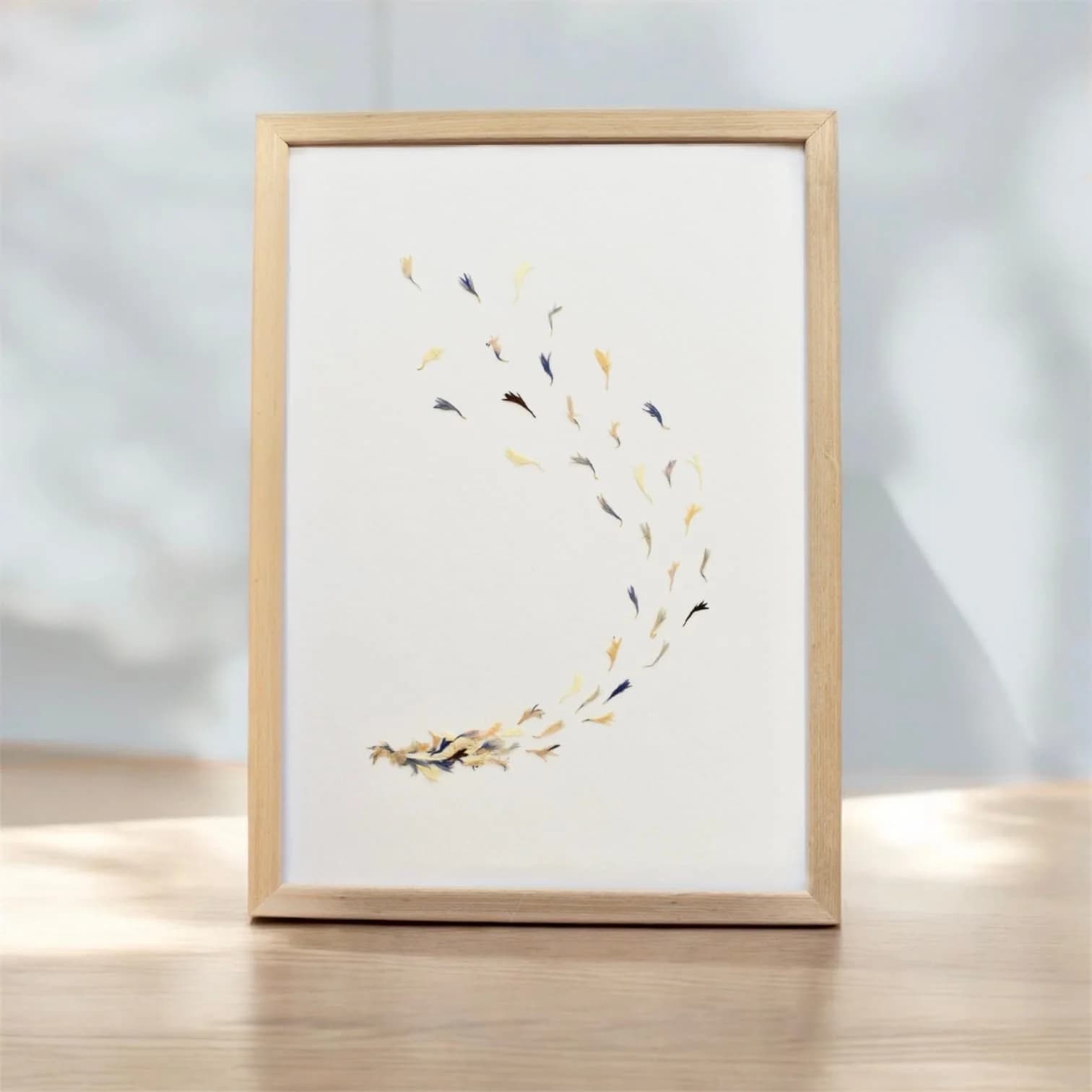 Herbier - Vent de Centaurées