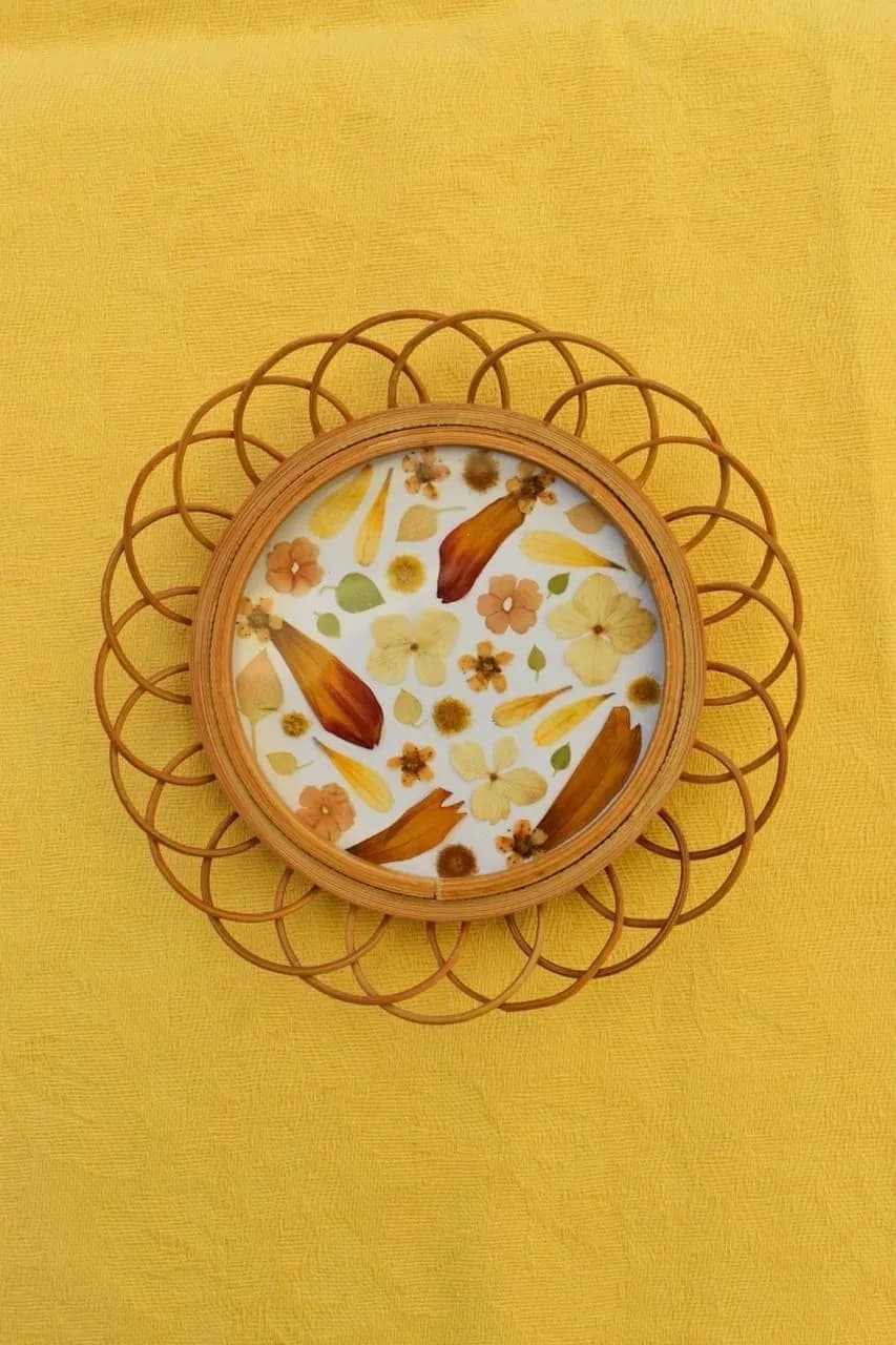 Herbier orange