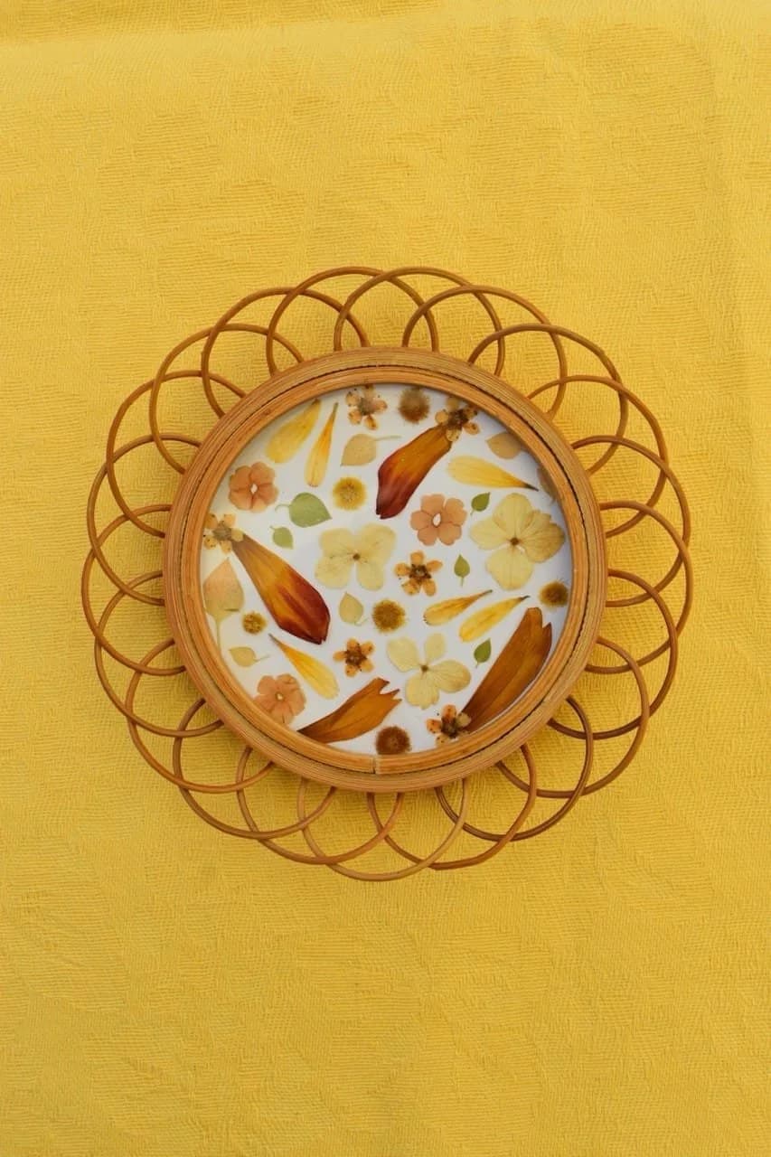 Herbier orange