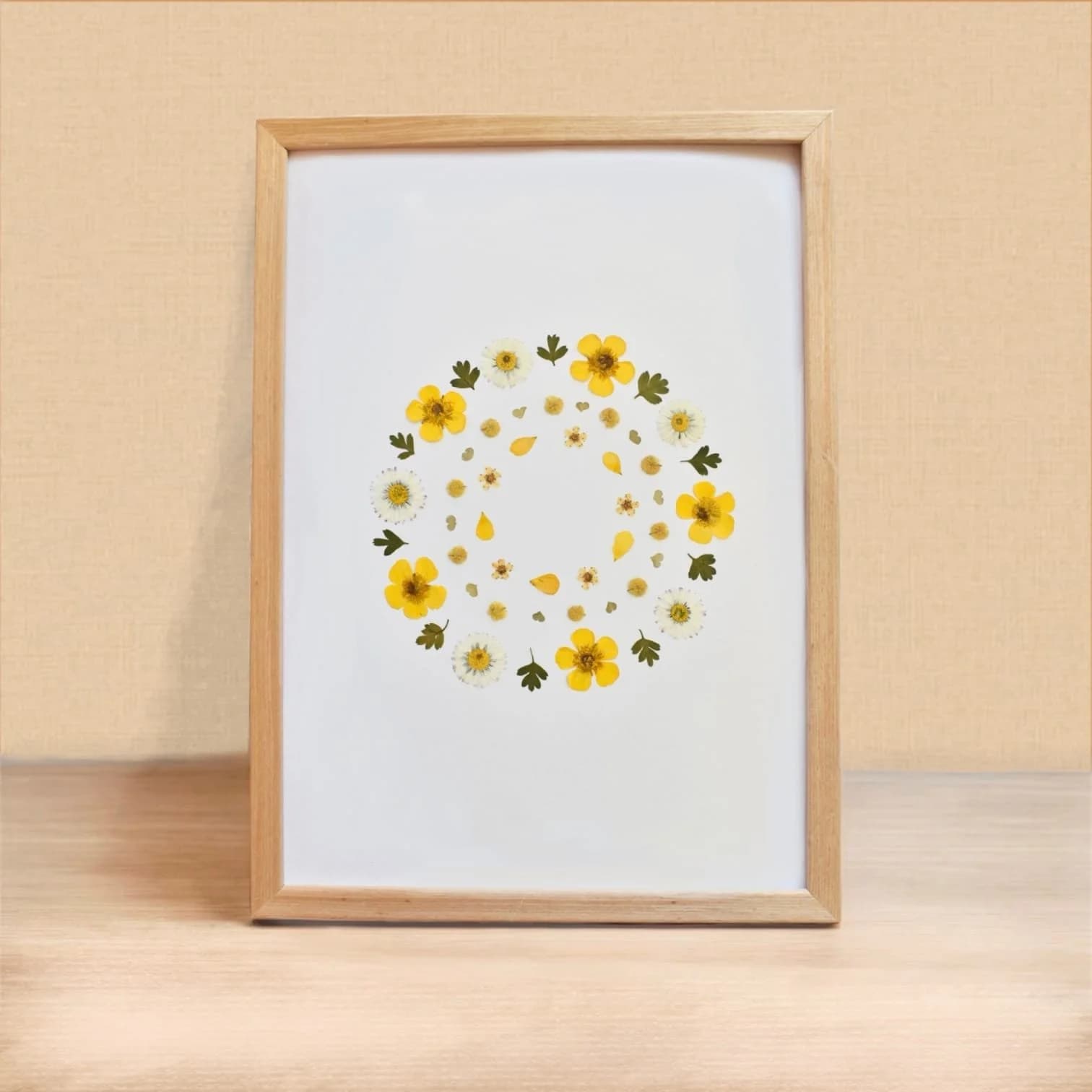 Herbier fleurs jaunes Renoncule