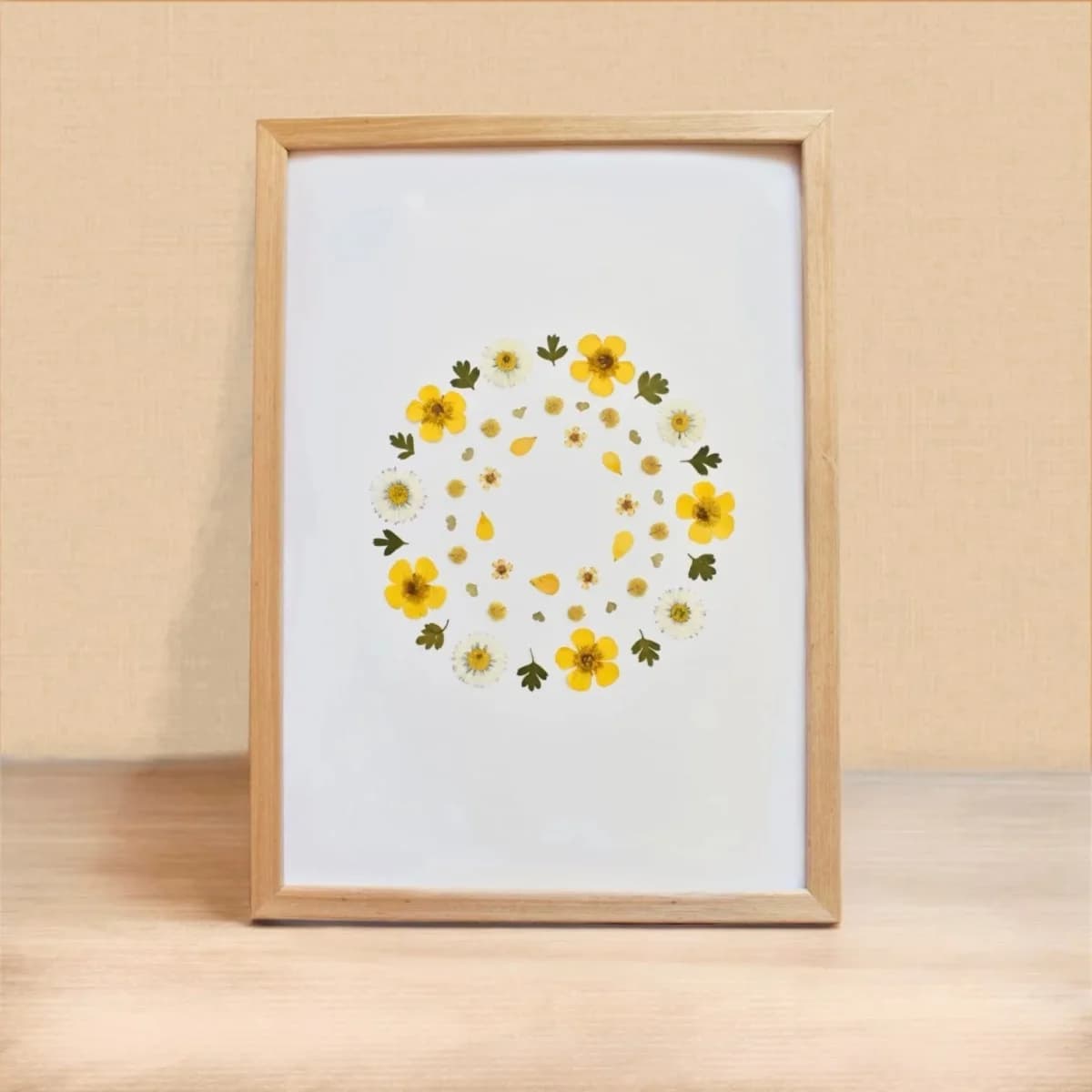 Herbier fleurs jaunes Renoncule