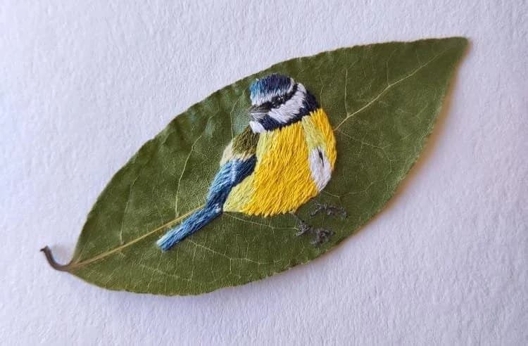 Broderie sur feuille d’arbre - Mésange Bleue