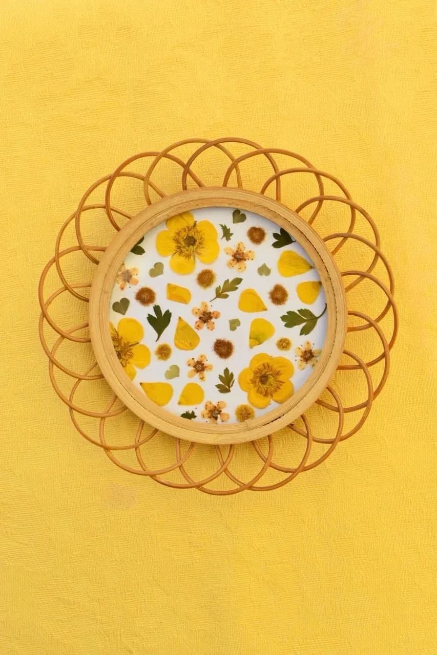 Herbier jaune