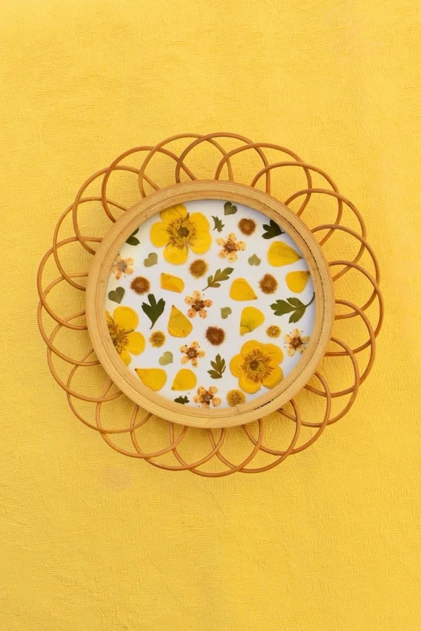 Herbier jaune