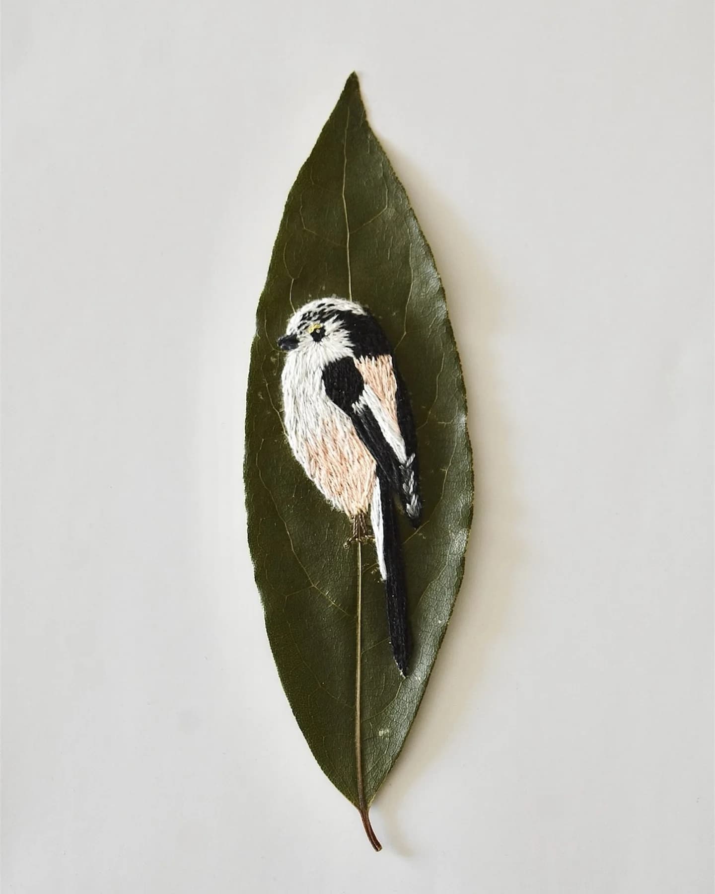 Broderie sur feuille d’arbre - Orite à longue queue