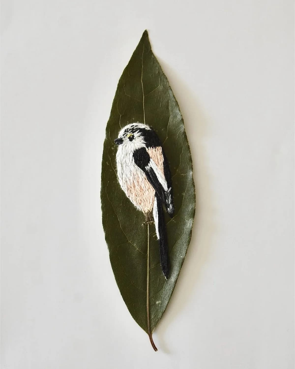 Broderie sur feuille d’arbre - Orite à longue queue