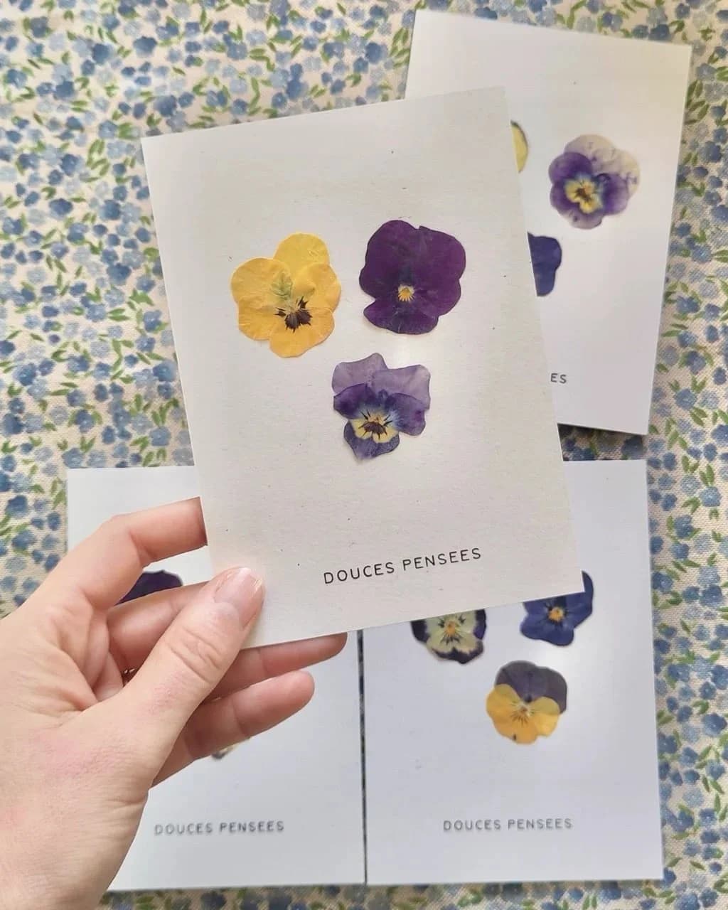 Carte fleurie - Douces Pensées — Bouquet — Une carte