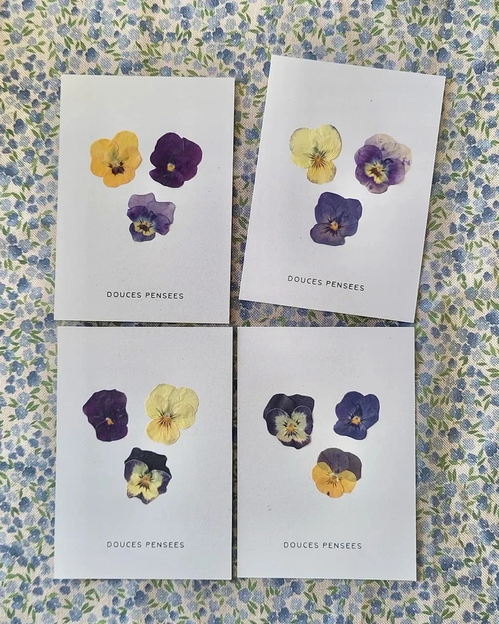 Carte fleurie - Douces Pensées — Bouquet — Une carte