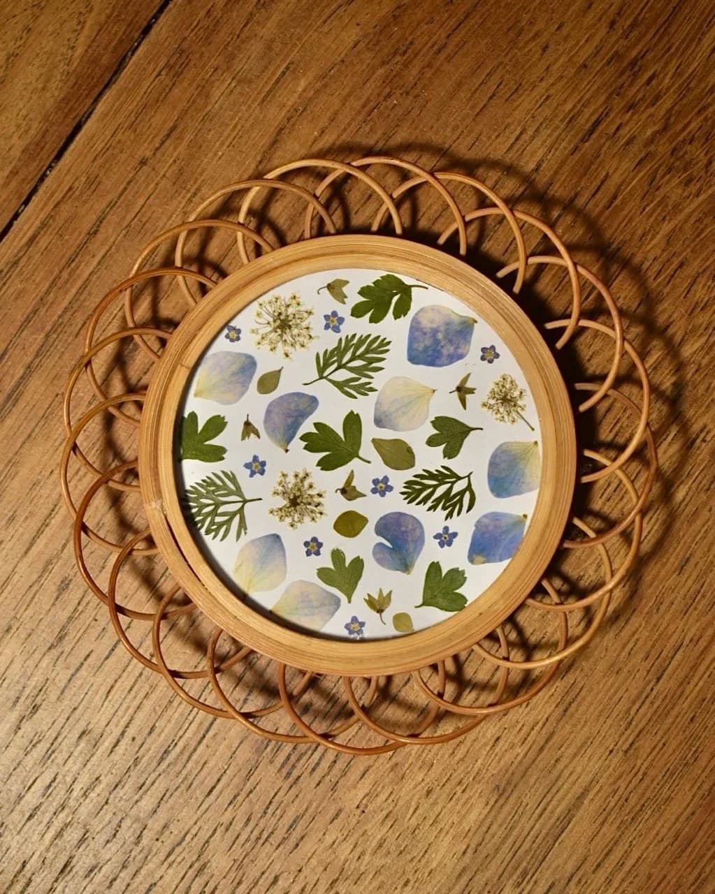 Herbier de fleurs bleues