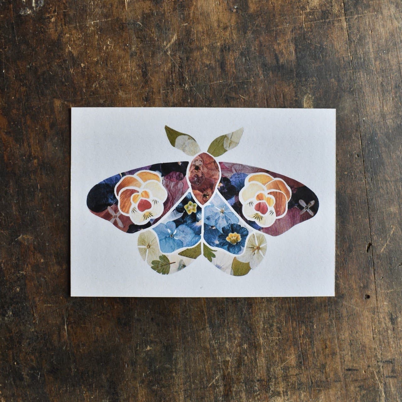 Carte Vitrail Sphinx fleuri