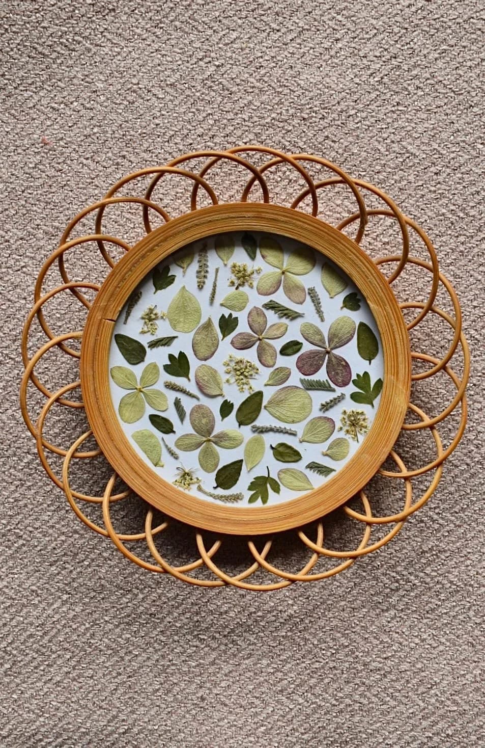 Herbier rose et vert