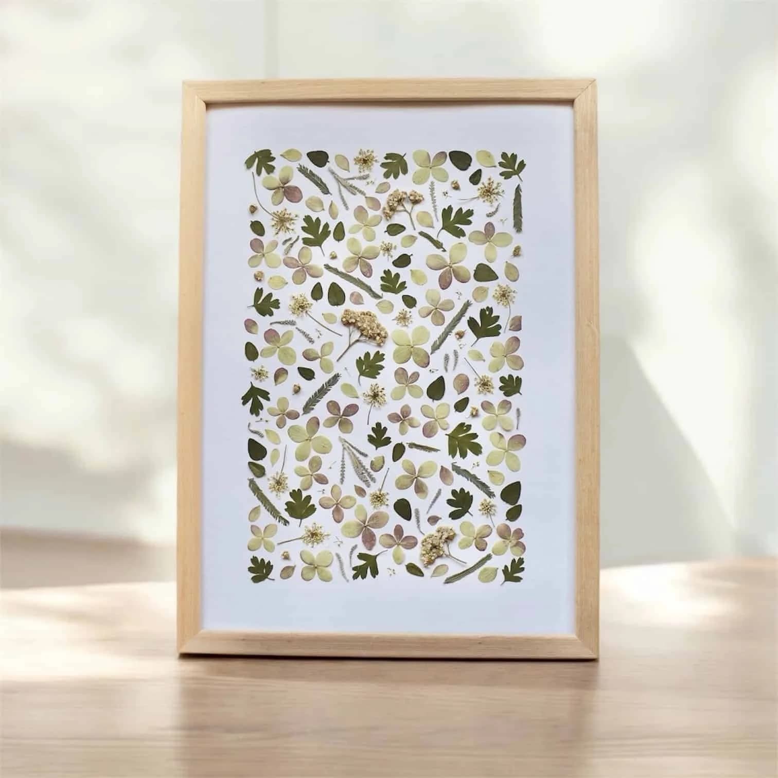 Herbier de fleurs roses et vertes