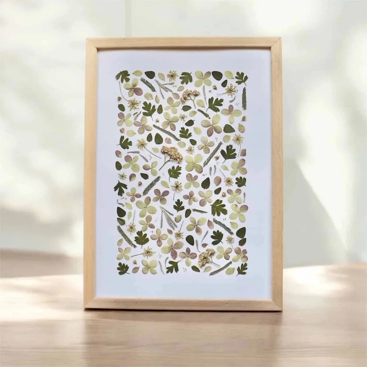 Herbier de fleurs roses et vertes
