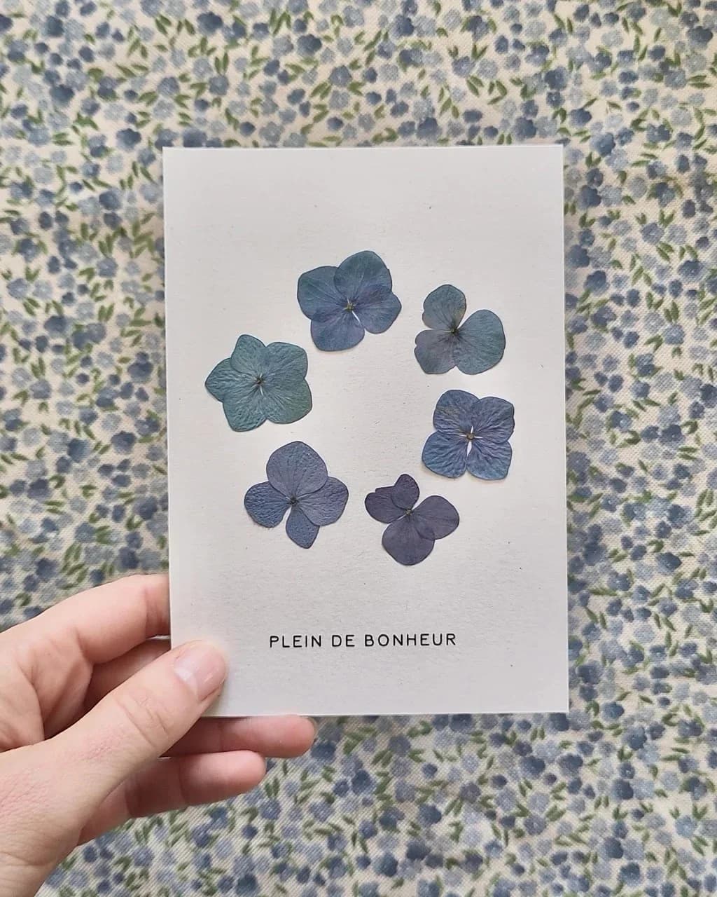 Carte fleurie - Plein de bonheur — Une carte — Hortensia