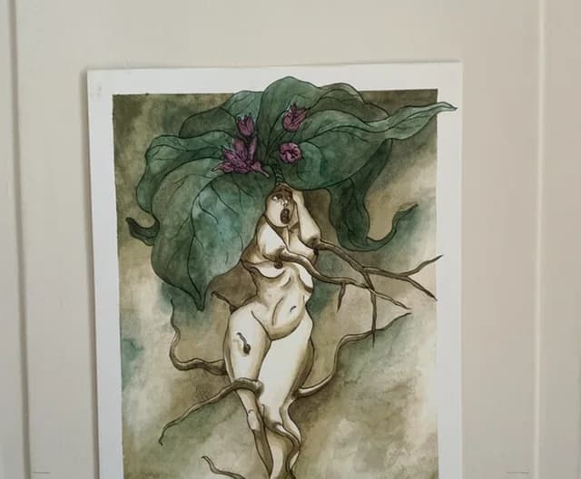 La Mandragore — Format A4 24X32cm