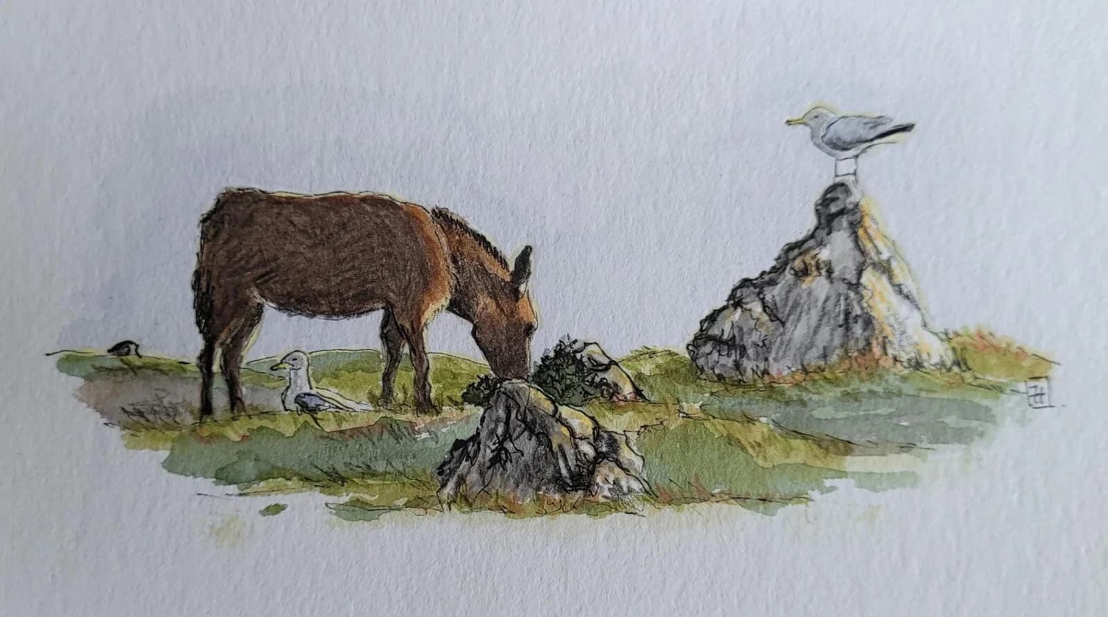 Dessin original — Aquarelle et crayons — L'âne et les deux oiseaux — Paysage d'Irlande — Format carte postale — vue 2