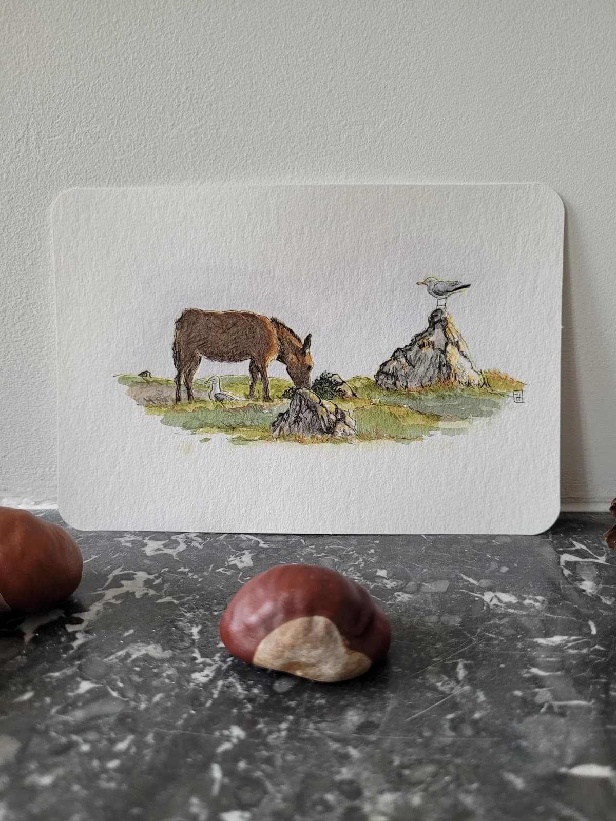 Dessin original — Aquarelle et crayons — L'âne et les deux oiseaux — Paysage d'Irlande — Format carte postale — vue 1