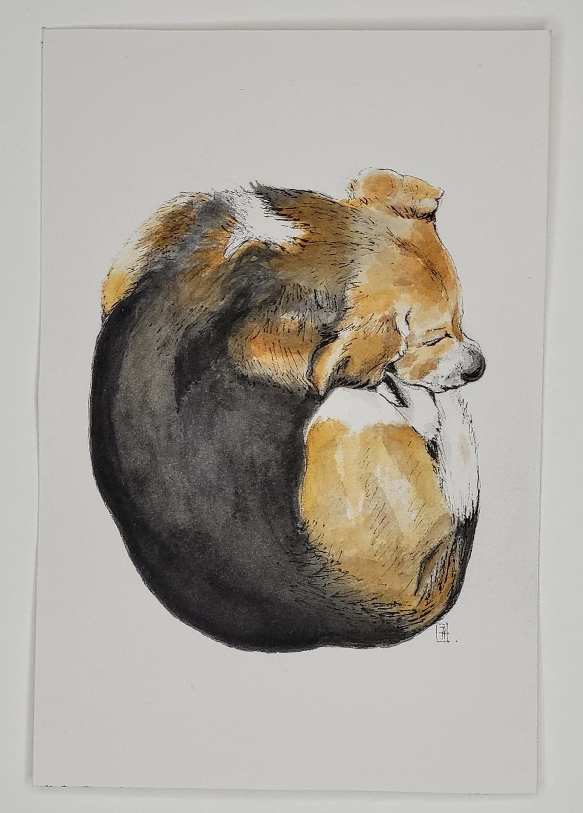Aquarelle originale — Beagle, chien, la sieste — Aquarelle animal — 10x15 cm — vue 2