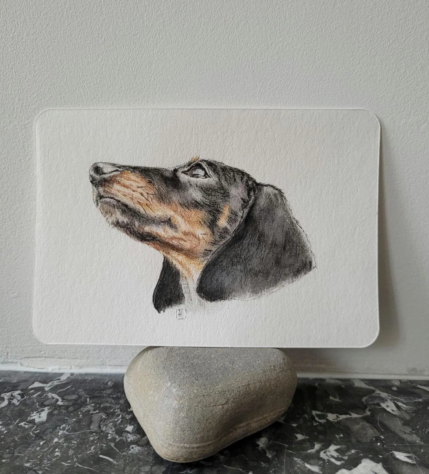 Portrait de chien — Teckel — Dessin original — Aquarelle et crayons de couleurs — Format 10x15cm — vue 1