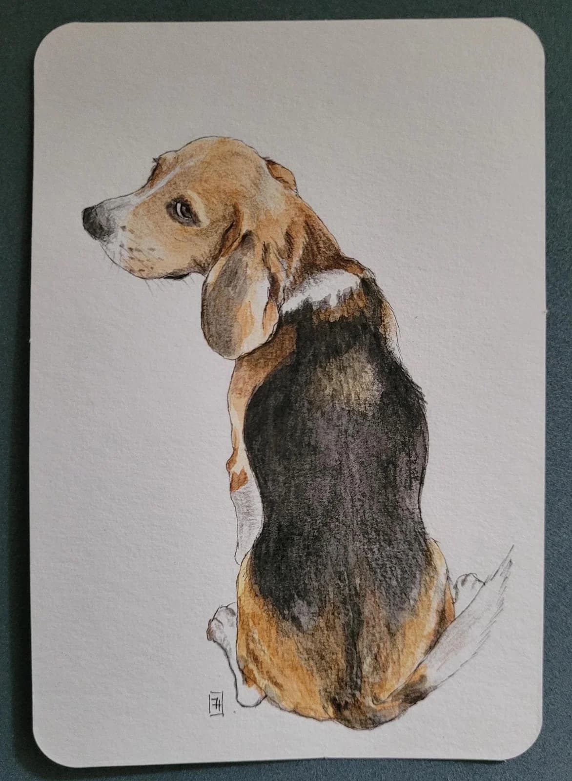 Aquarelle originale — Portrait de chien Beagle assis — Format carte postale 10x15cm — vue 2