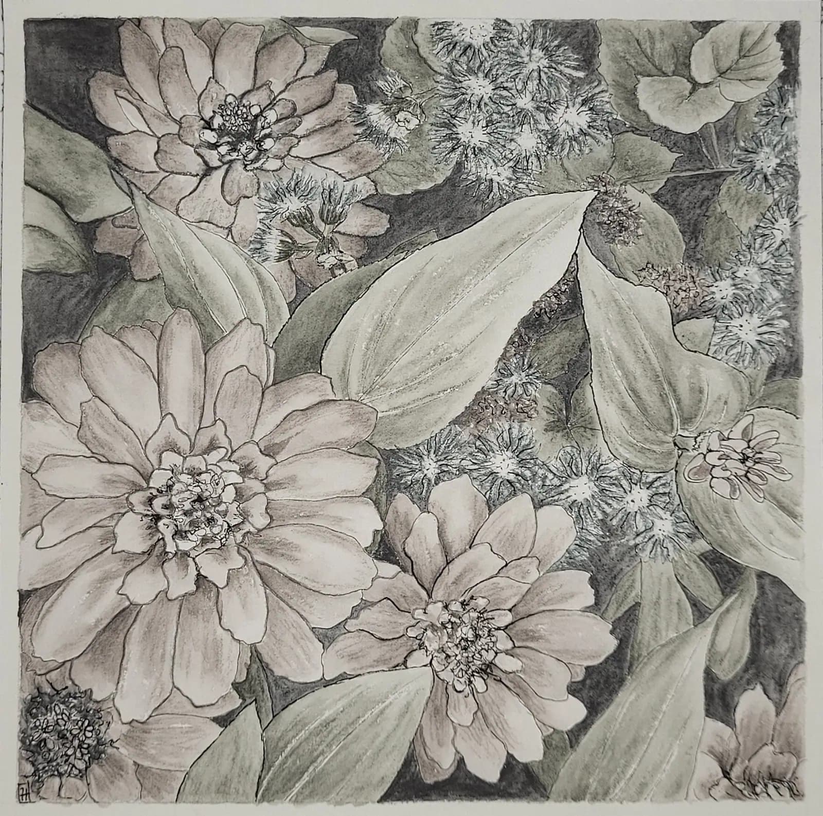 Aquarelle originale — Fleurs d’été, Zinnia — Format 20x20 cm — vue 2