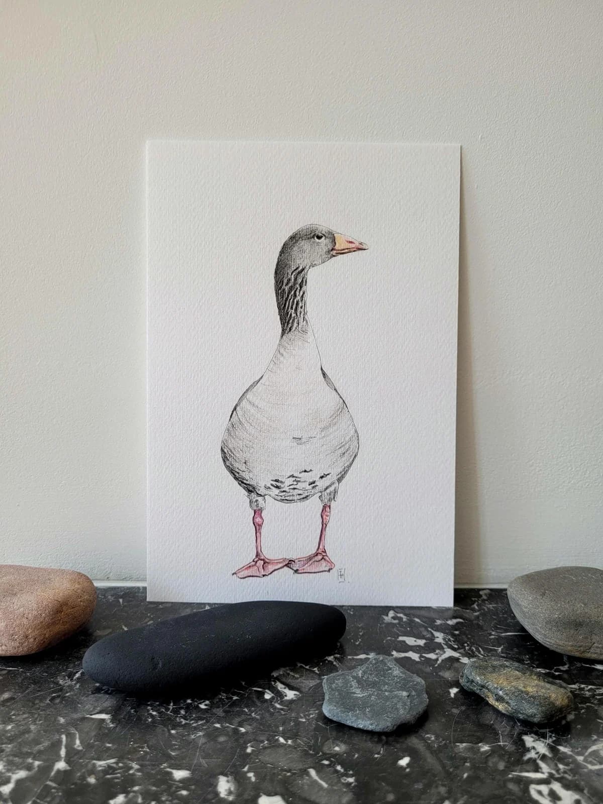Dessin original, oiseau, oie, aquarelle et crayons de couleurs, 15,5 x 23 cm — vue 1
