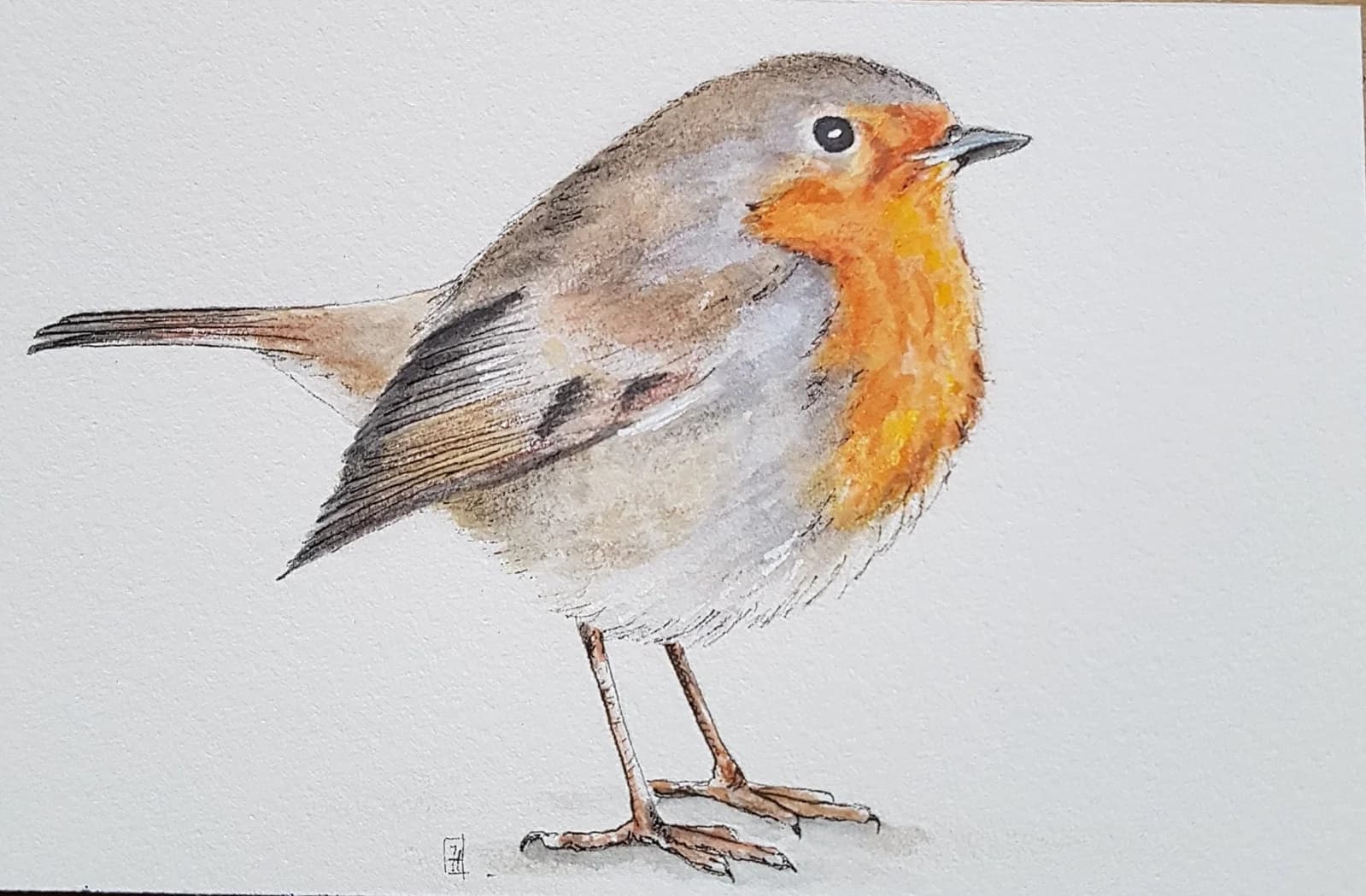 Aquarelle originale — Oiseau, rouge-gorge (D) — Format 10x15 cm — vue 1