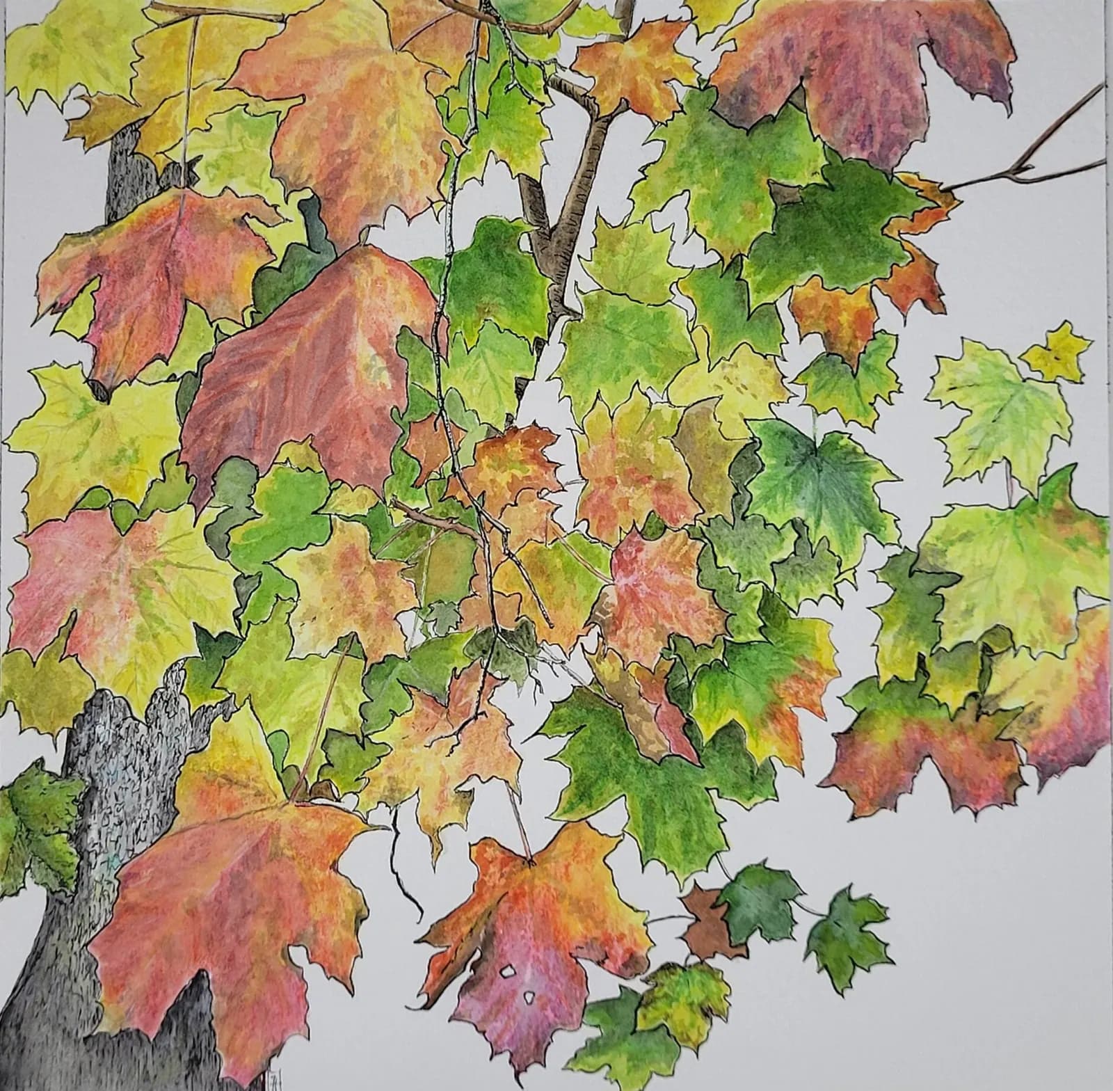Aquarelle originale — Feuilles d'arbre, érable, aux couleurs d'automne — Format carré 20x20 cm — vue 2