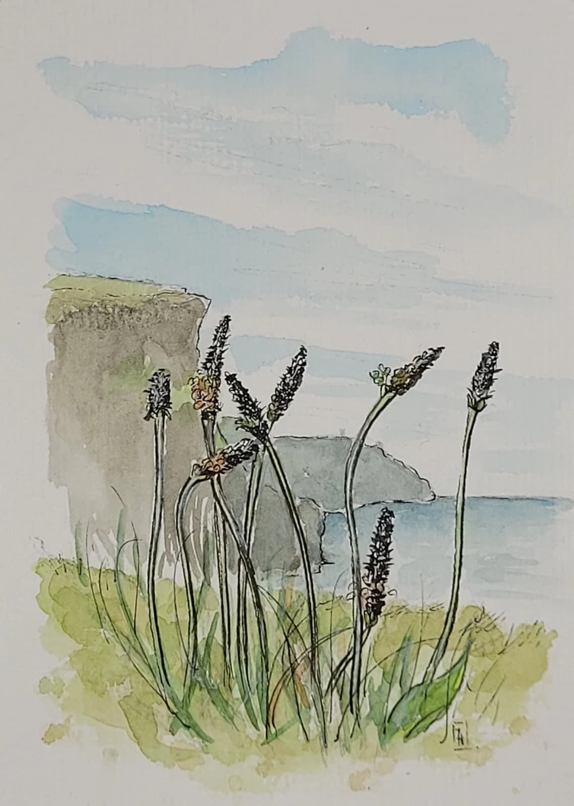 Aquarelle originale — Paysage d'Irlande, vue sur les falaises de Moher, Cliffs of Moher — Format carte postale 10x15 cm — vue 2