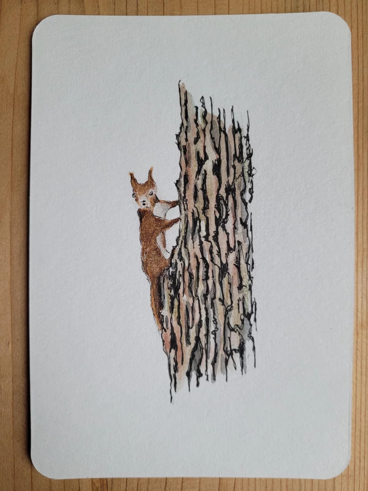 Aquarelle originale — Écureuil — Format carte postale — vue 2