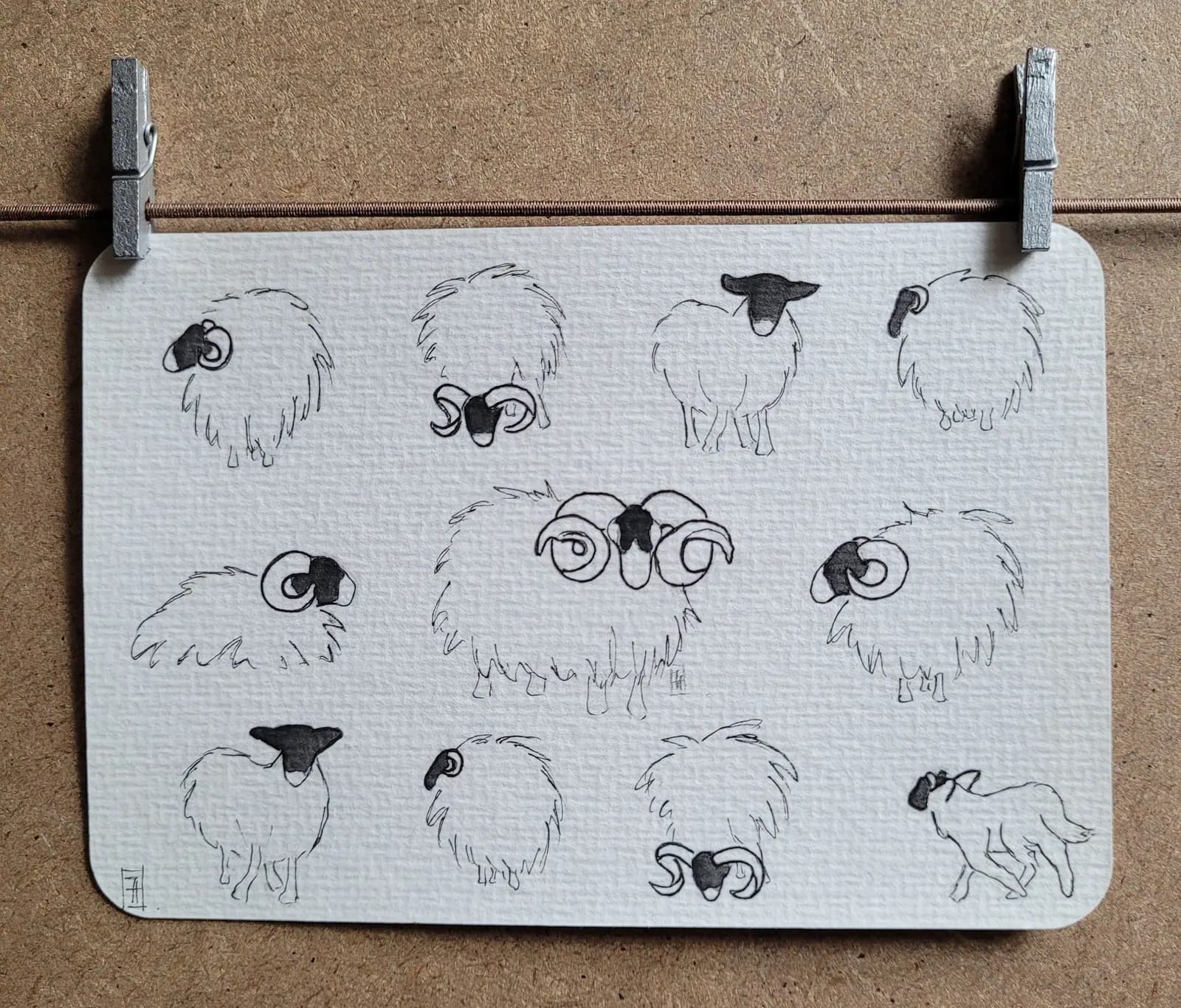 Dessin original crayon et aquarelle, moutons, la ronde des moutons, 10x15cm — vue 1