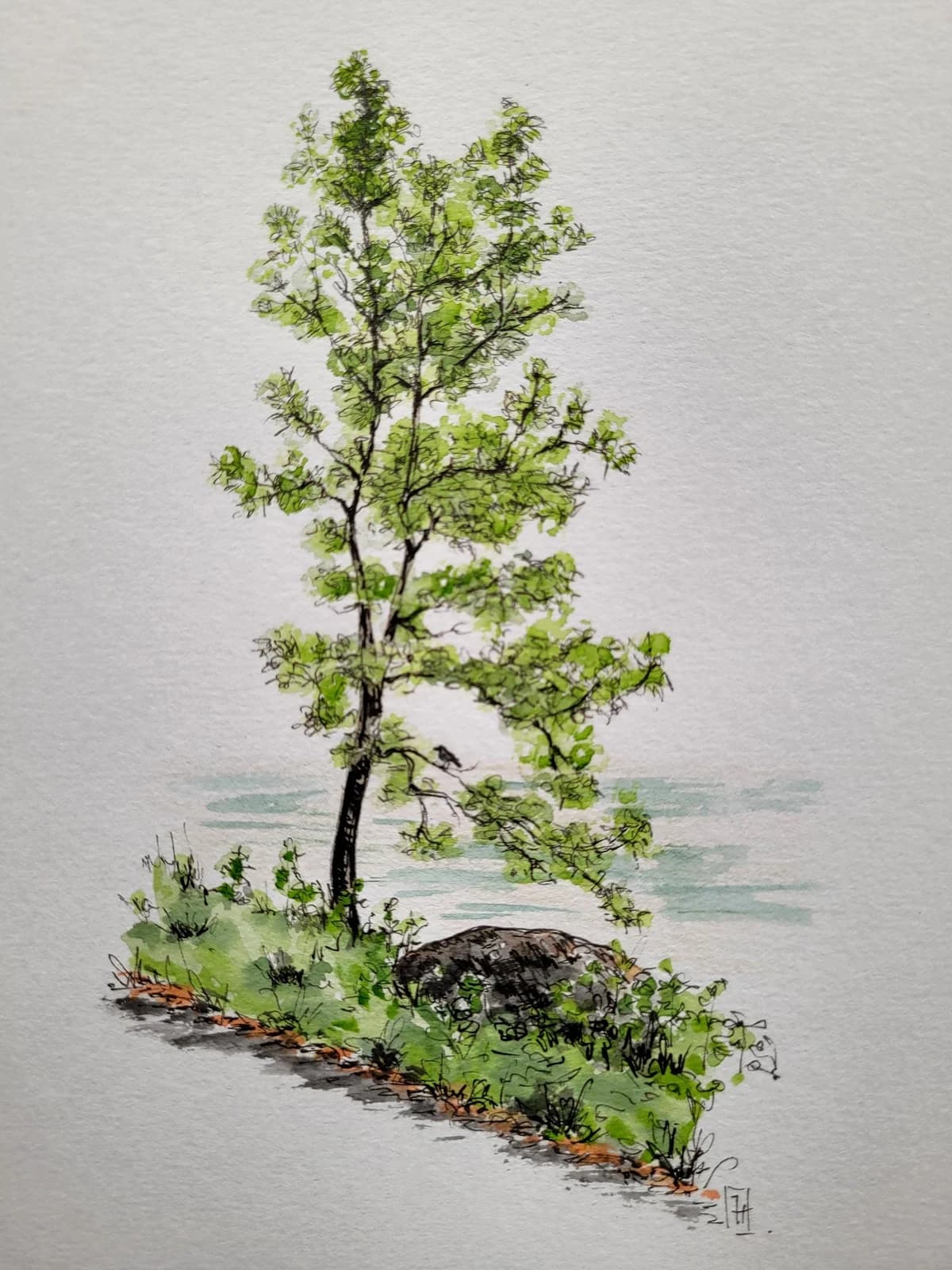 Aquarelle originale — L'arbre, la pierre et l'oiseau, Ardennes — Format A5 — vue 2