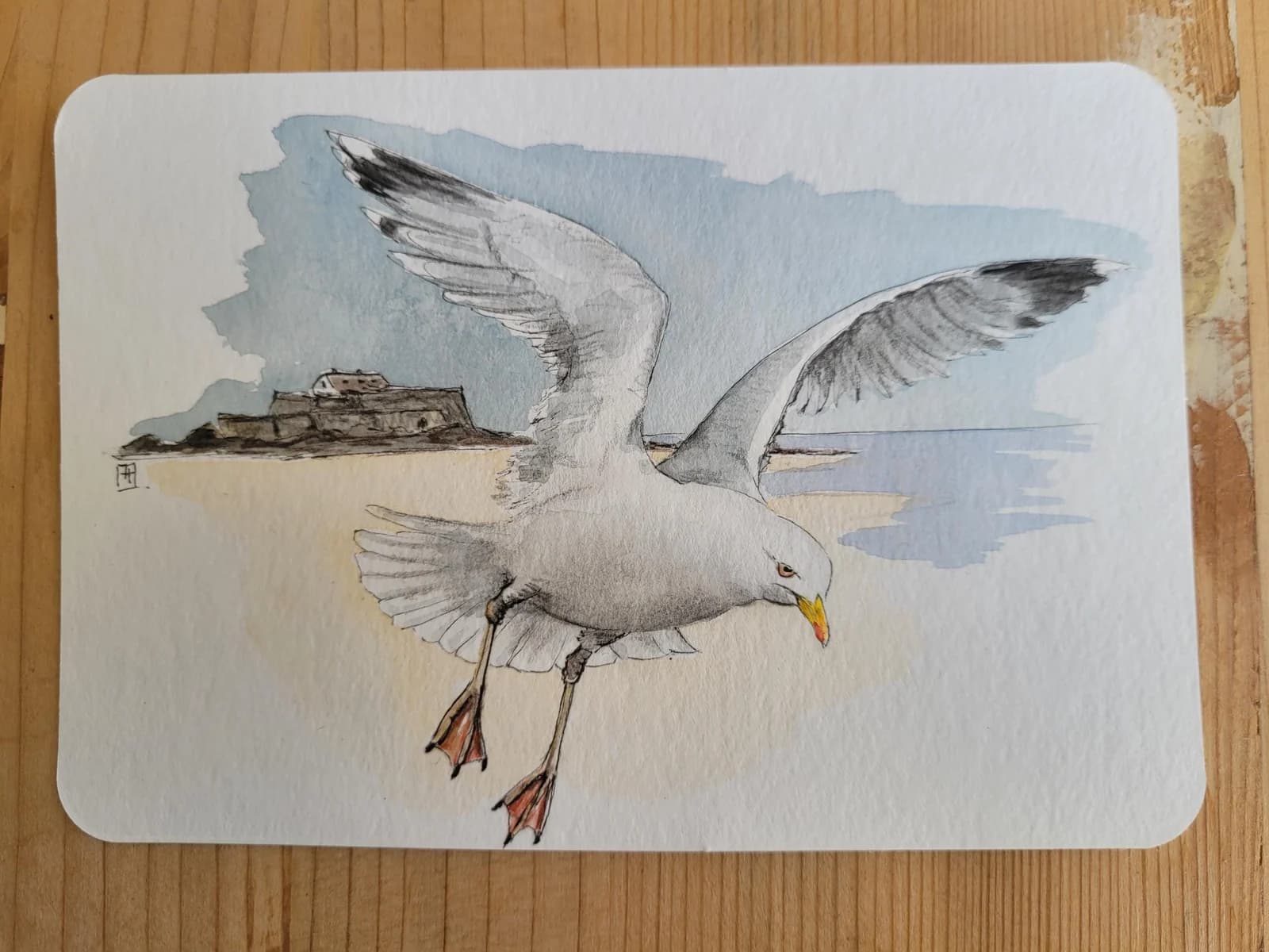 Aquarelle originale — Goéland, Bretagne, Saint-Malo — Format carte postale — vue 2