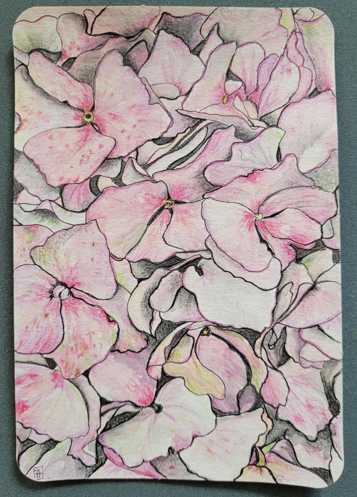 Aquarelle originale — Fleur rose, hortensia — Format carte postale 10x15cm — vue 2