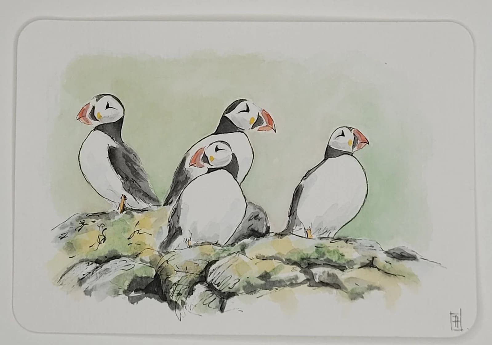 Aquarelle originale — Oiseaux marins, Macareux, Puffins, île de Skye, Ecosse — Format carte postale 10x15 cm — vue 1