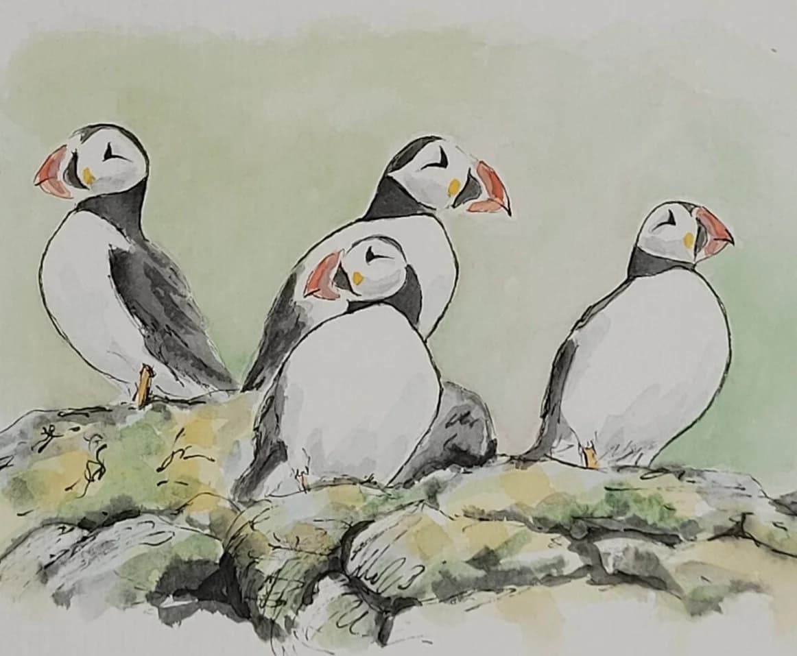 Aquarelle originale — Oiseaux marins, Macareux, Puffins, île de Skye, Ecosse — Format carte postale 10x15 cm — vue 2