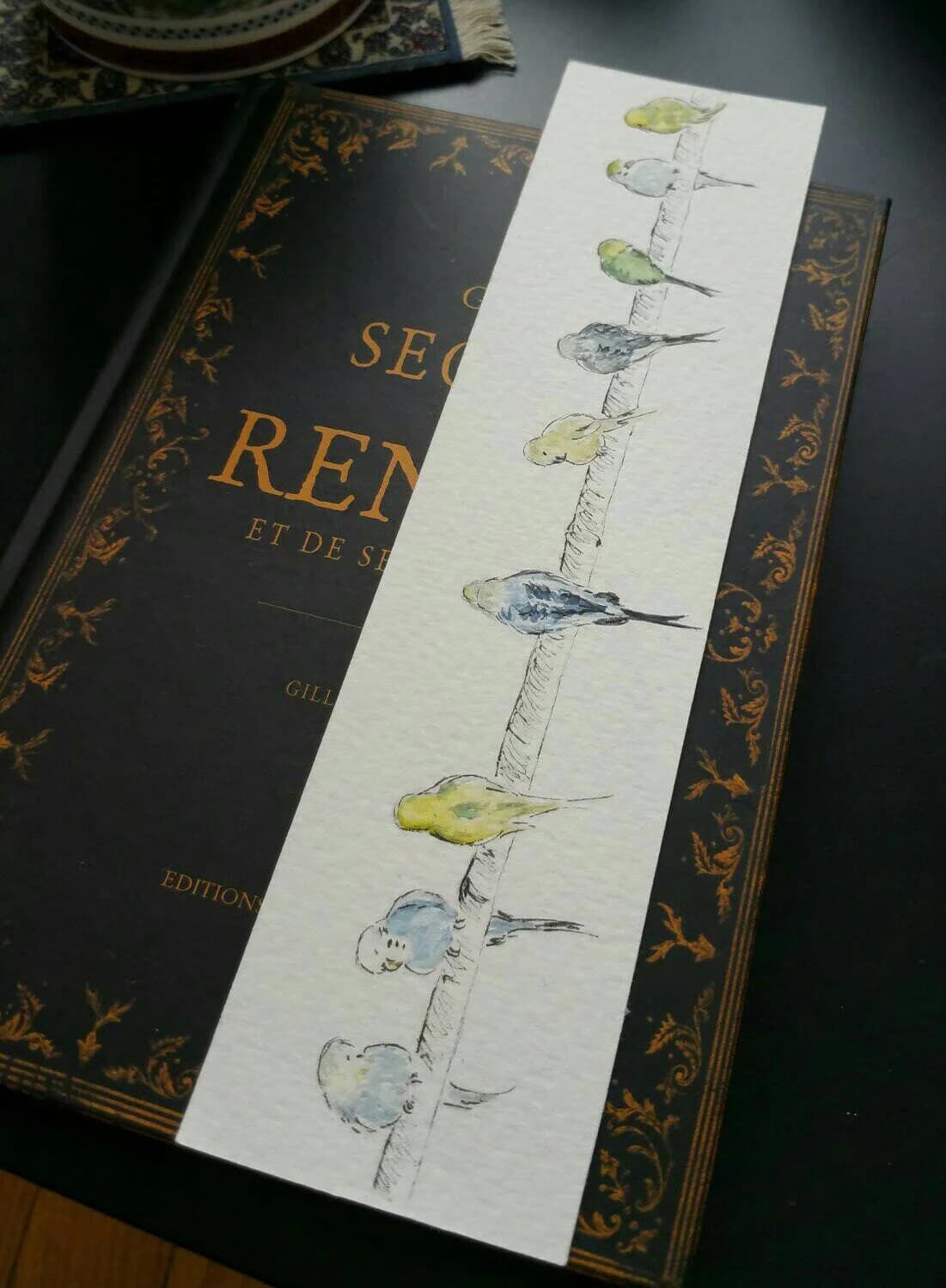 Aquarelle originale — Oiseaux, perruches du parc du Thabor à Rennes — Format marque-page — vue 2