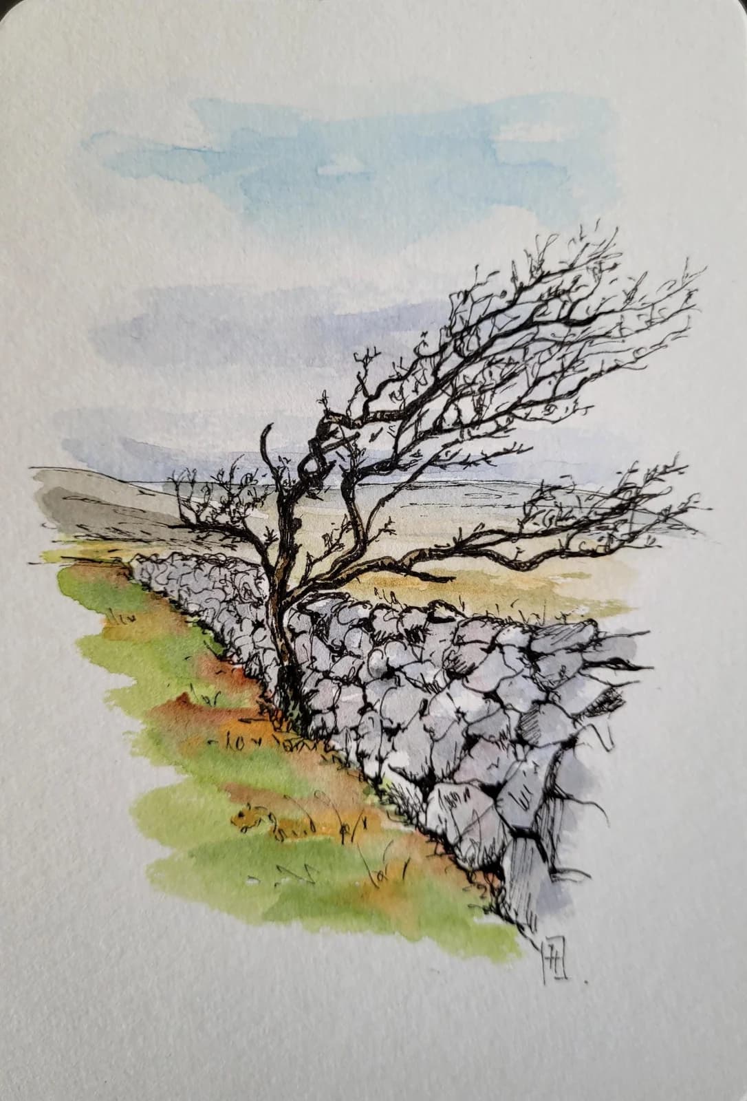 Aquarelle originale — Paysage d'Irlande, Burren, Co Clare — Format carte postale — vue 2