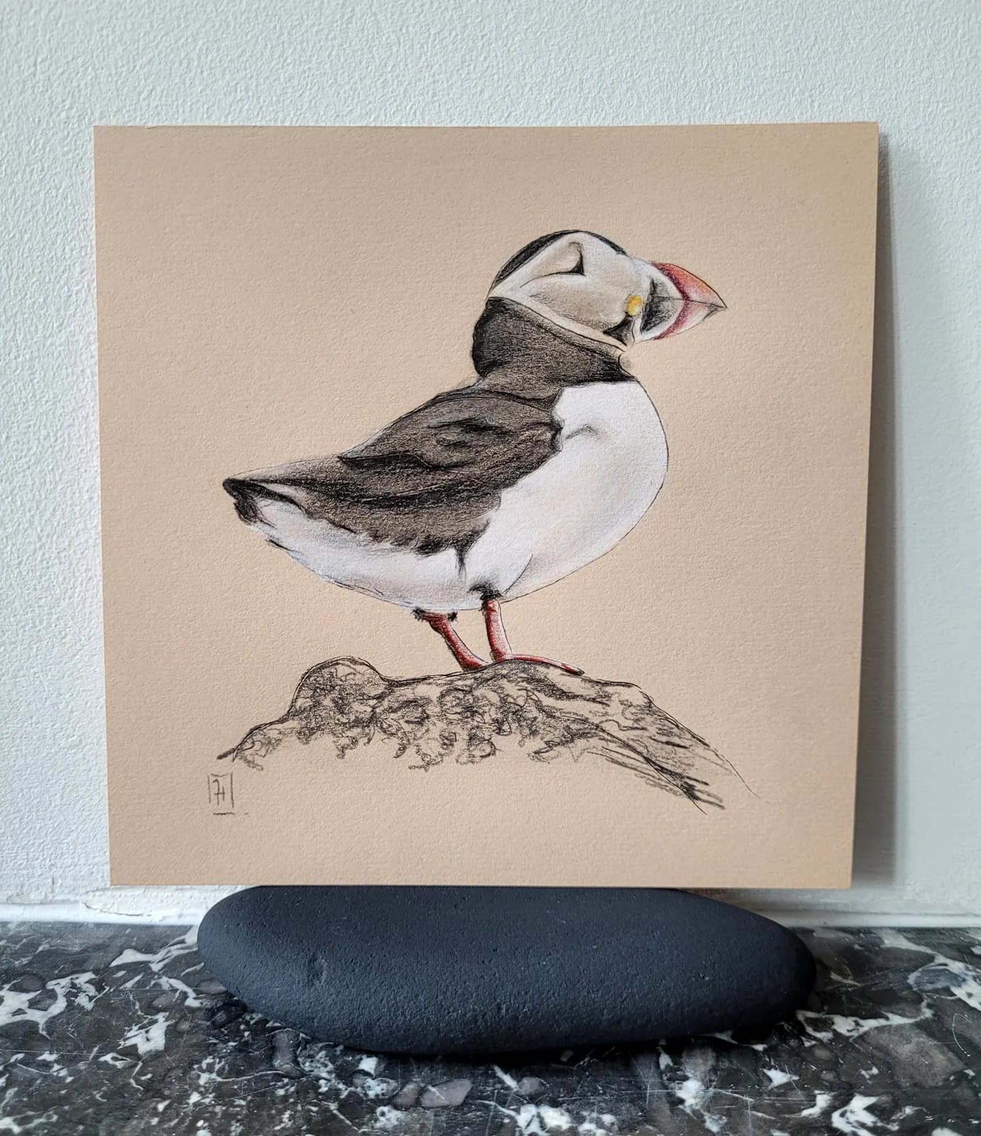 Dessin original graphite et pastel — Oiseau, macareux, puffin,Écosse — Format 14x14 cm — vue 1
