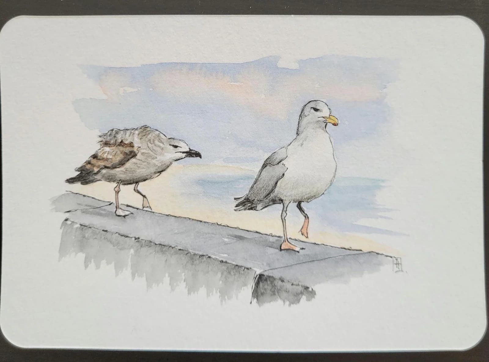 Aquarelle originale — Défilé de goélands sur la plage du Sillon, Saint-Malo, Bretagne — Format carte postale — vue 2