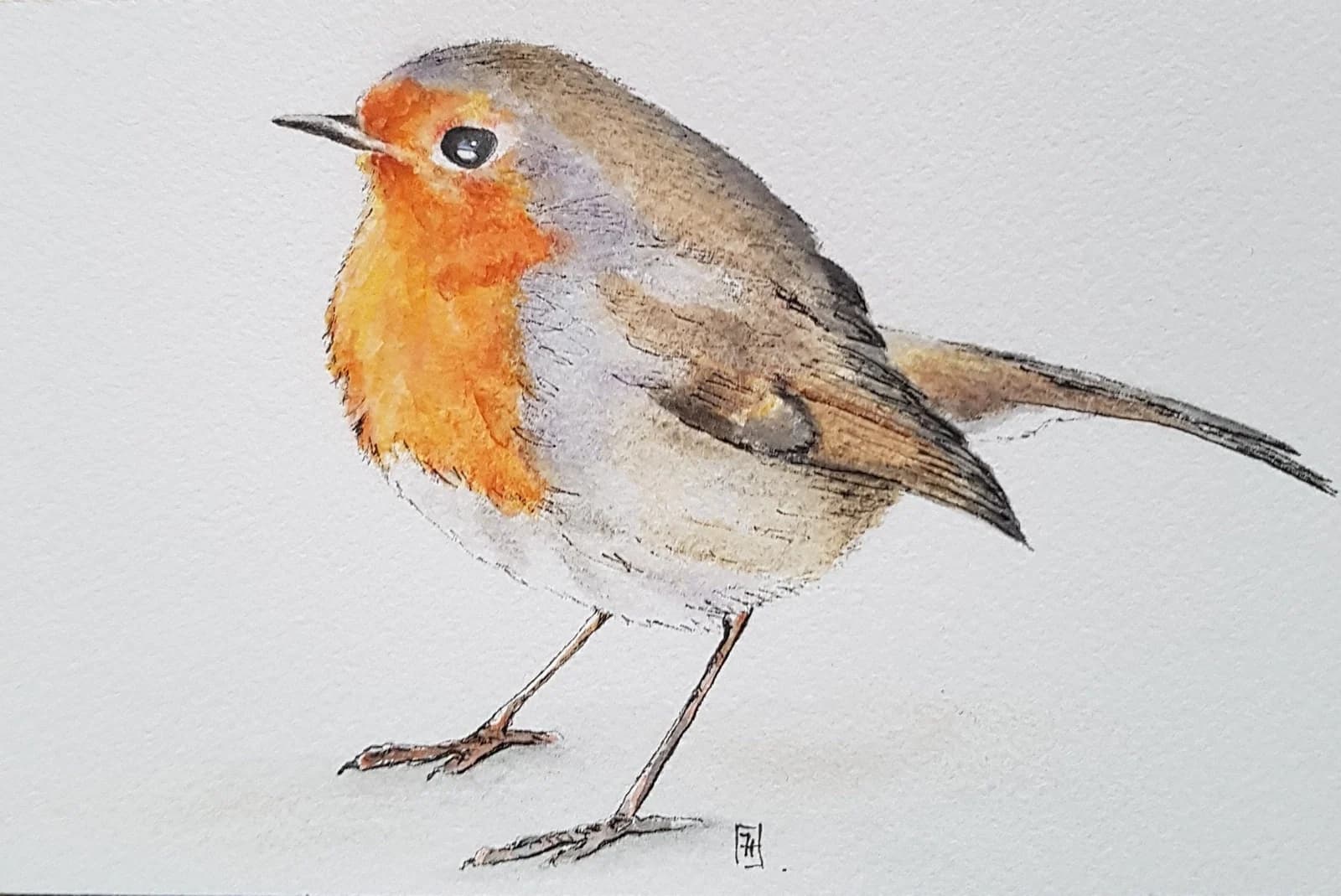 Dessin aquarelle et crayon original — Oiseau rouge-gorge (G) — Format 10x15 cm — vue 1