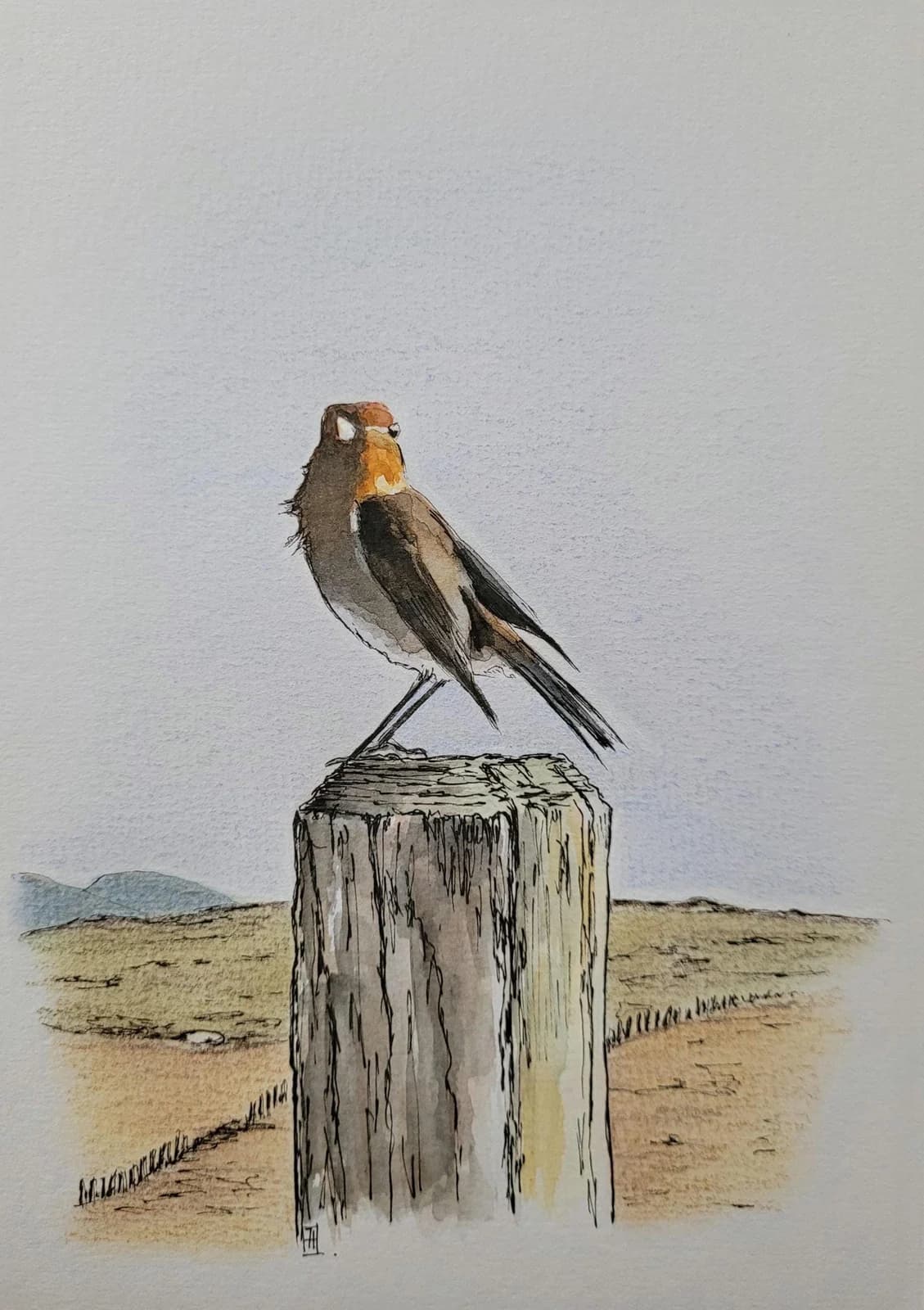 Aquarelle originale, oiseau, rouge-gorge, Connemara, Irlande, format A5 — vue 2