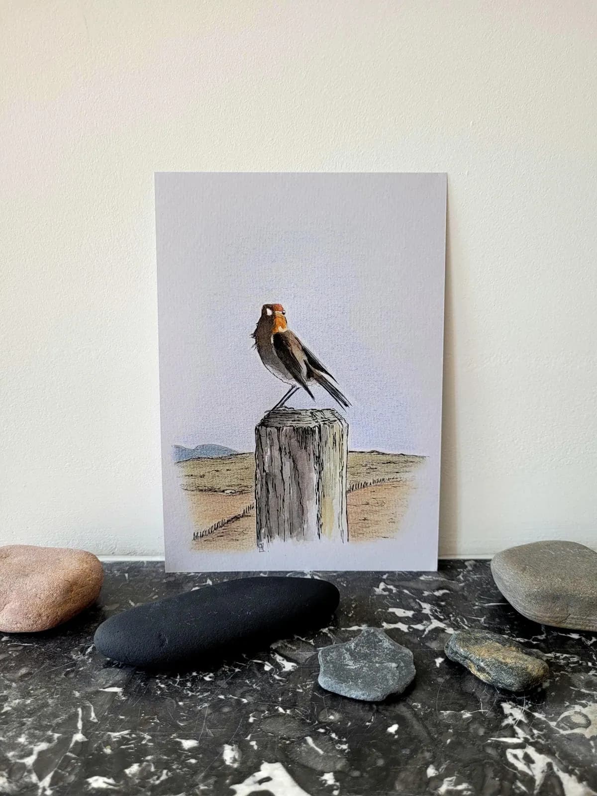 Aquarelle originale, oiseau, rouge-gorge, Connemara, Irlande, format A5 — vue 1