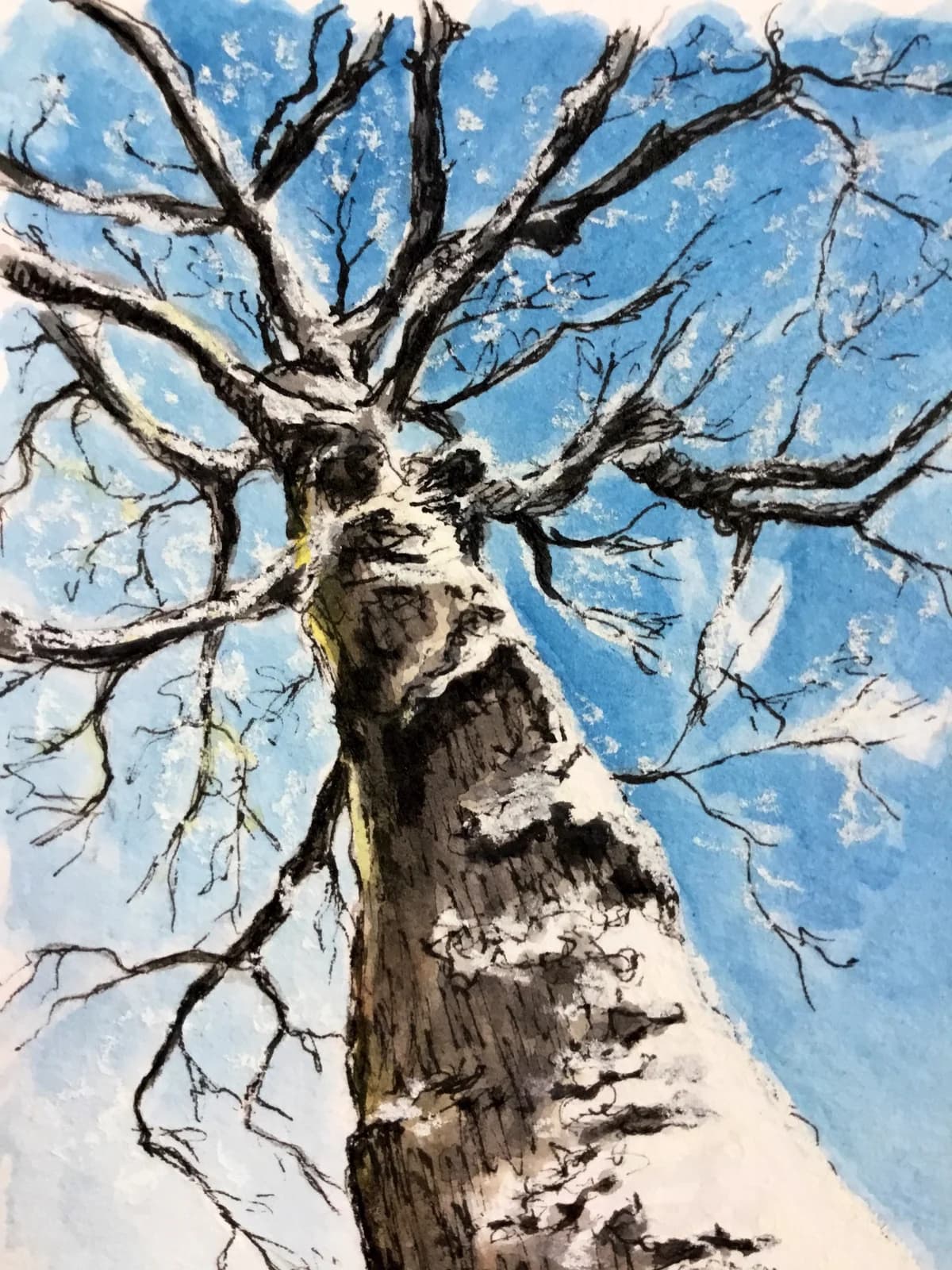 Aquarelle originale — Arbre, neige et ciel bleu, paysage — Format carte postale 10x15 cm — vue 2