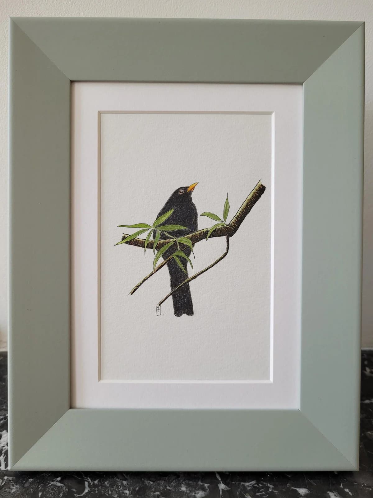 Dessin original — Merle sur une branche — Aquarelle et crayons — Format carte postale — vue 1